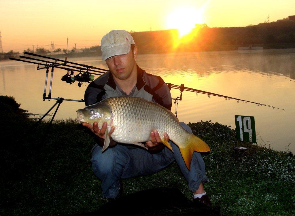 Floarea Popestiului 7 - 7 oct. - DSC07522.jpg